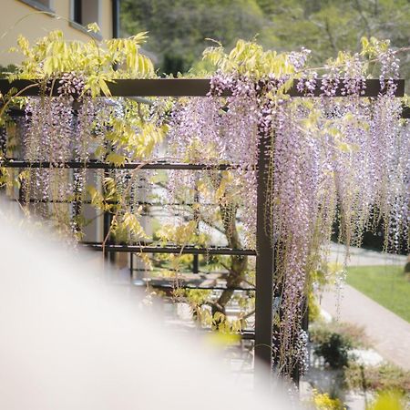 Agriturismo La Valle Di Vico Caprarola Dış mekan fotoğraf