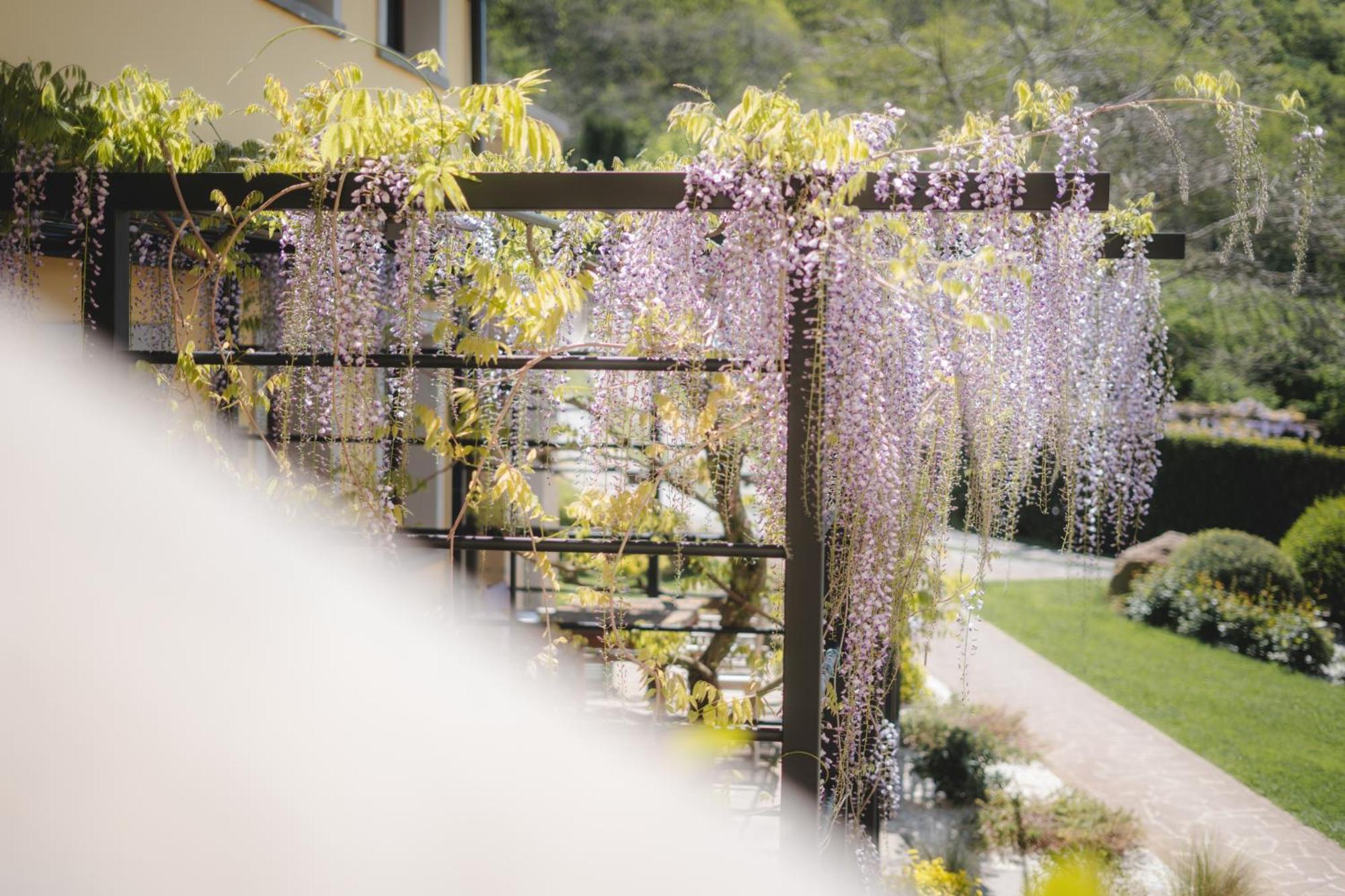 Agriturismo La Valle Di Vico Caprarola Dış mekan fotoğraf
