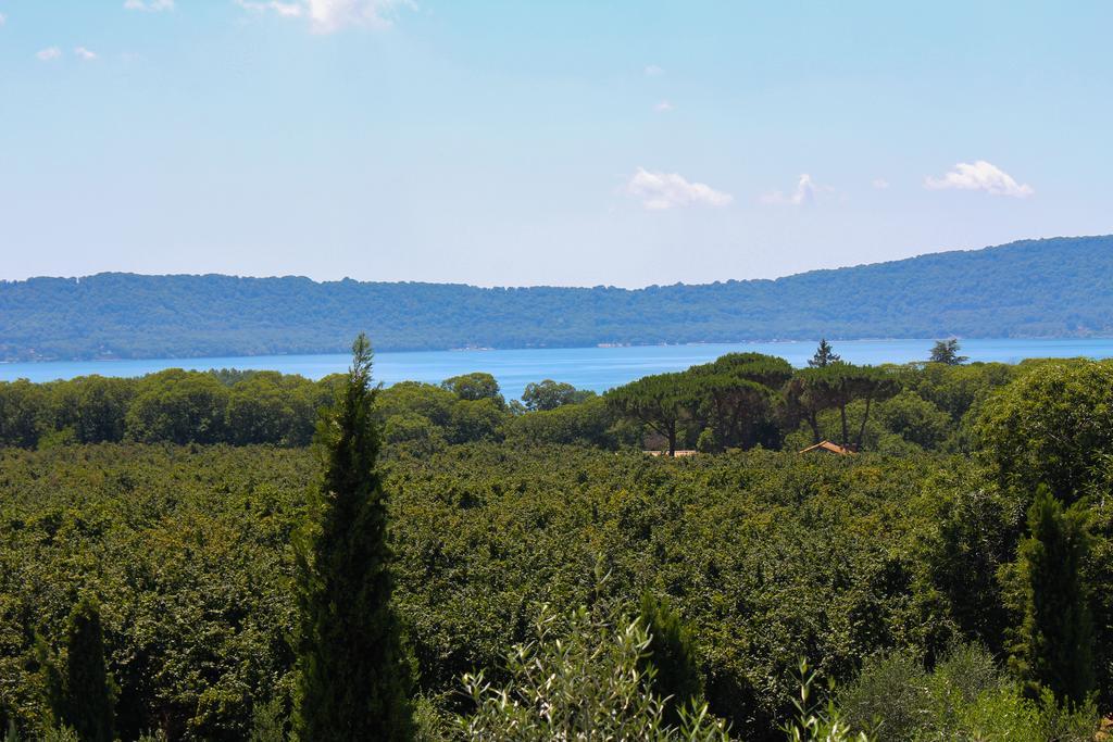 Agriturismo La Valle Di Vico Caprarola Dış mekan fotoğraf