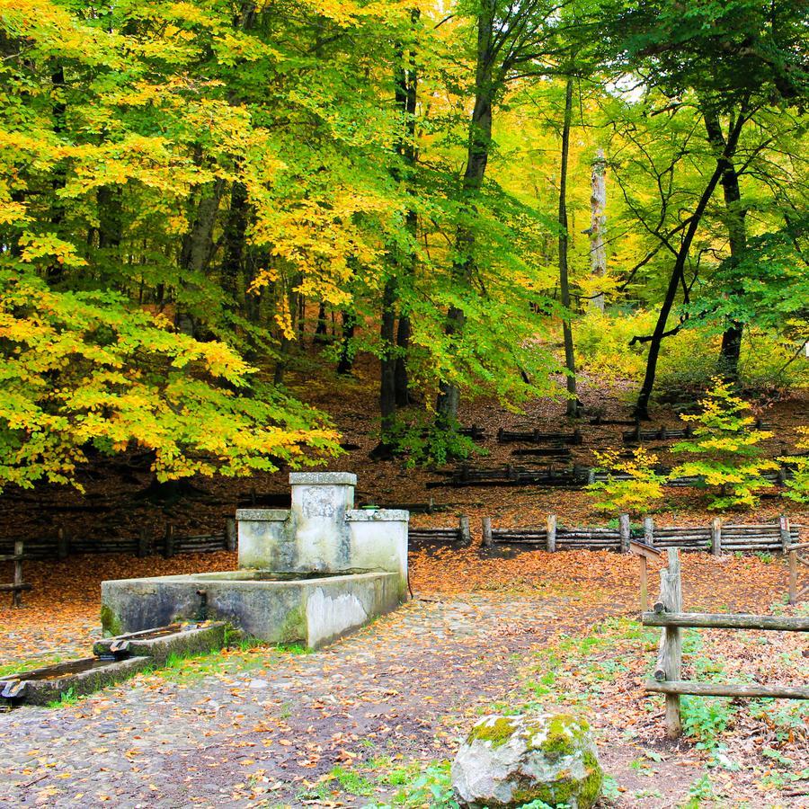 Agriturismo La Valle Di Vico Caprarola Dış mekan fotoğraf